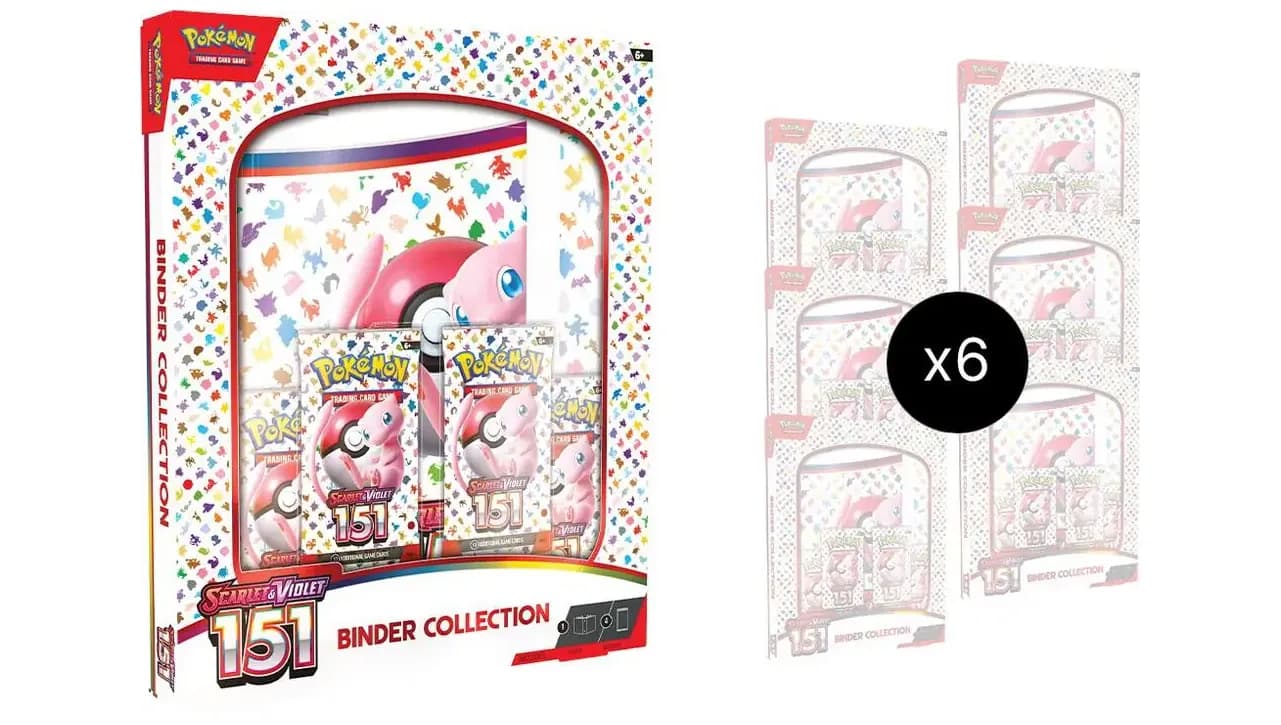 151 Binder Collection Case