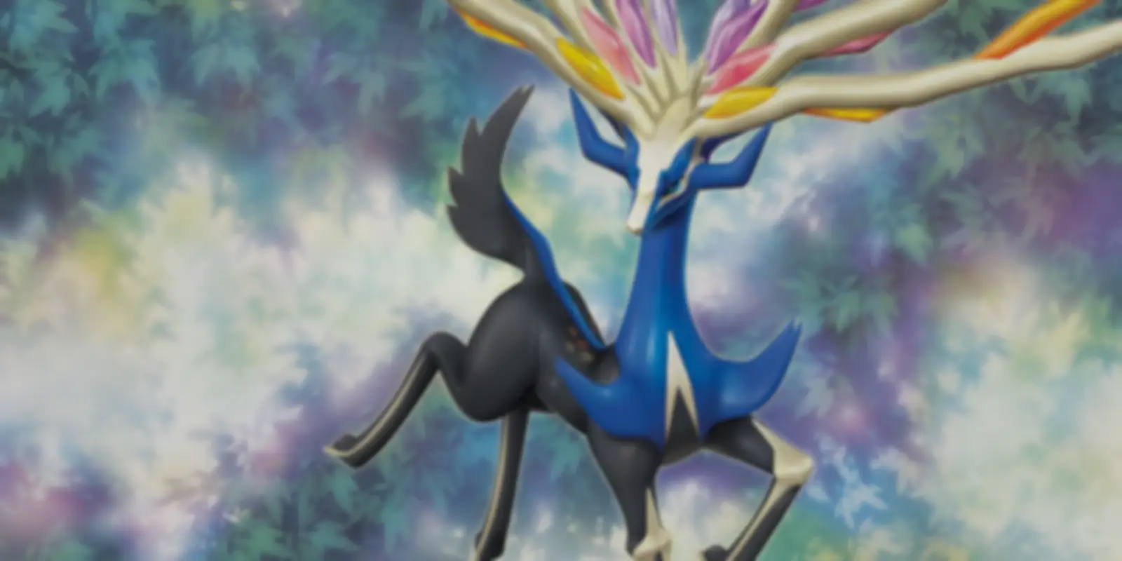 XY Base